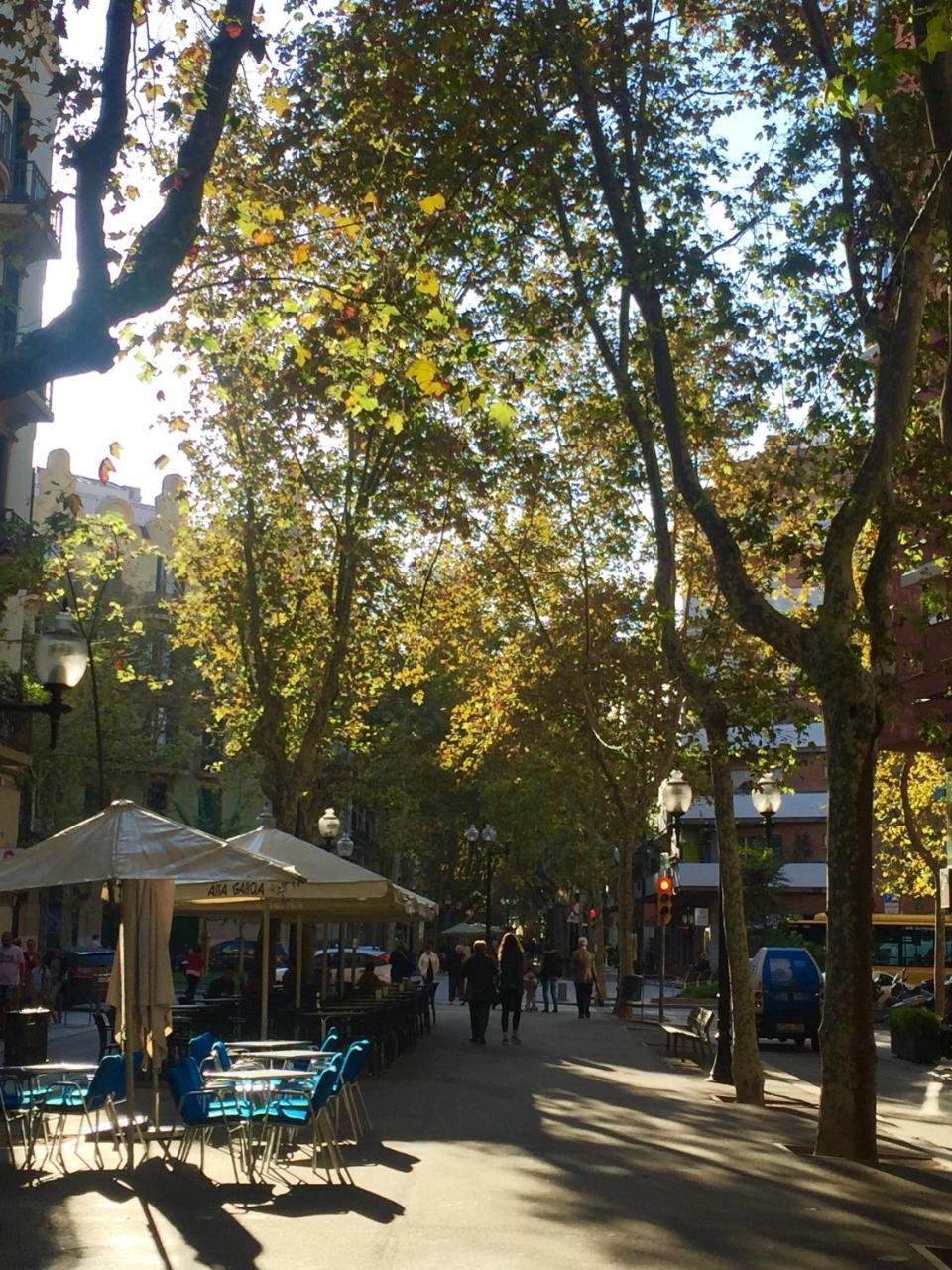 Charm Miro Lägenhet Barcelona Exteriör bild